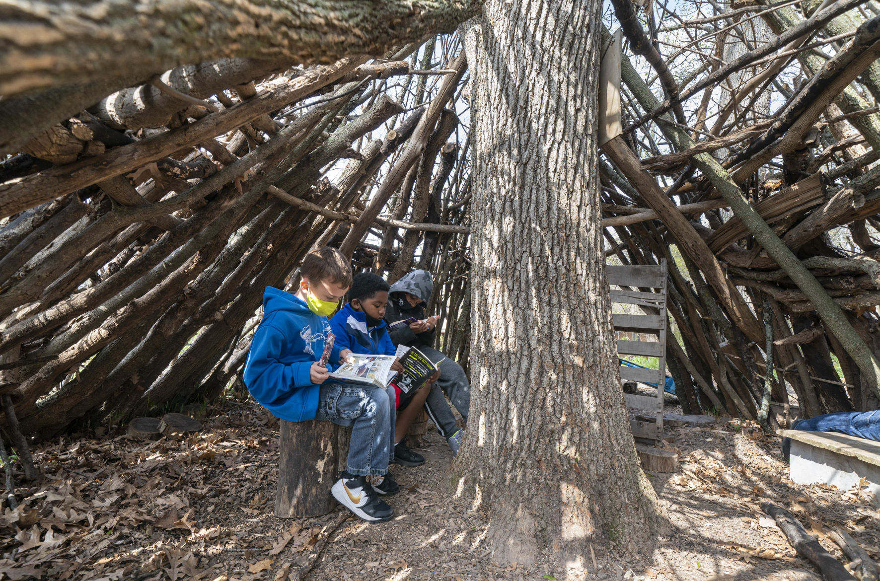 Lake View Elementary Forest